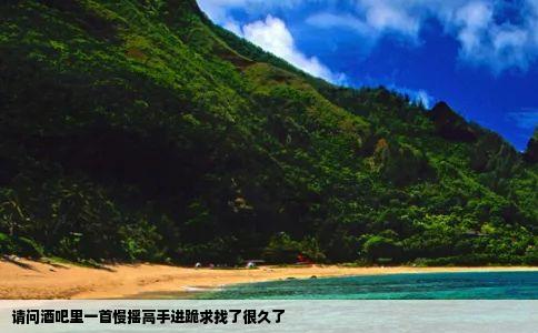 请问酒吧里一首慢摇高手进跪求找了很久了