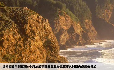 请问酒驾吊销驾照6个月从吊销那天算起最迟在多久时间内必须去参加