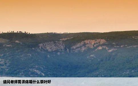 请问老师胃溃疡喝什么茶叶好