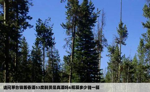请问茅台镇酱香酒53度斟贵是真酒吗6瓶箱多少钱一箱