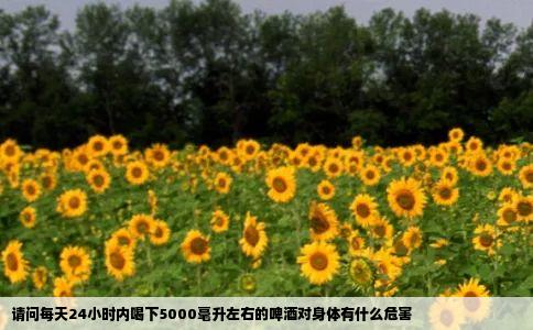 请问每天24小时内喝下5000毫升左右的啤酒对身体有什么危害