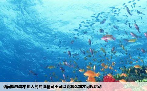 请问摩托车中加入纯的酒精可不可以要怎么加才可以启动