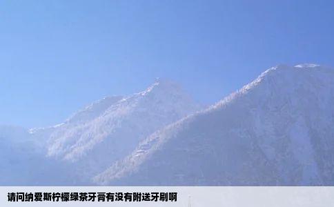 请问纳爱斯柠檬绿茶牙膏有没有附送牙刷啊