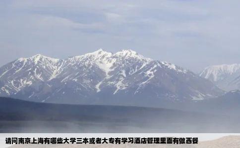 请问南京上海有哪些大学三本或者大专有学习酒店管理里面有做西餐