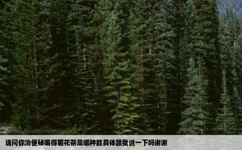 请问你治便秘喝得菊花茶是哪种能具体跟我说一下吗谢谢