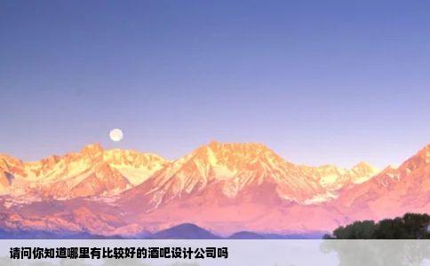 请问你知道哪里有比较好的酒吧设计公司吗