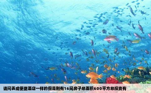 请问弄成便捷酒店一样的但是刚有16间房子总面积600平方总投资有