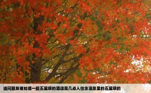 请问朋友谁知道一般五星级的酒店是几点入住含温泉里的五星级的