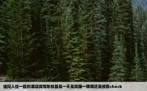 请问入住一般的酒店宾馆怎样算是一天是指睡一晚呢还是按照check