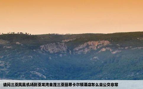 请问三亚凤凰机场到亚龙湾金茂三亚丽思卡尔顿酒店怎么坐公交非常