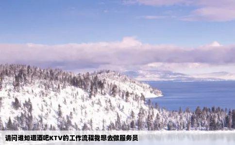 请问谁知道酒吧KTV的工作流程我想去做服务员