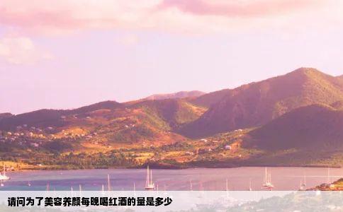 请问为了美容养颜每晚喝红酒的量是多少