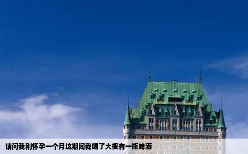 请问我刚怀孕一个月这期间我喝了大概有一瓶啤酒