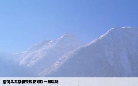 请问乌龙茶和玫瑰花可以一起喝吗