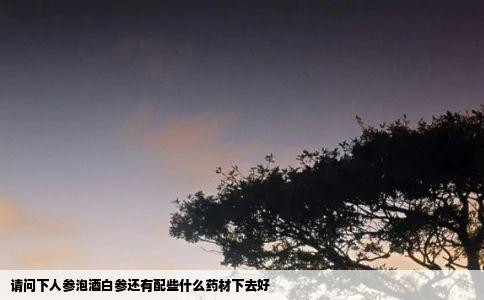 请问下人参泡酒白参还有配些什么药材下去好