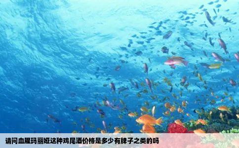 请问血腥玛丽娅这种鸡尾酒价格是多少有牌子之类的吗