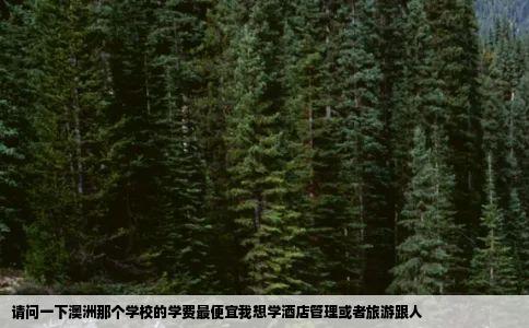 请问一下澳洲那个学校的学费最便宜我想学酒店管理或者旅游跟人