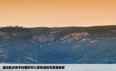 请问有没有平时喝的对心脏有益的花草茶谢谢