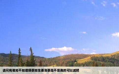 请问有谁知不知道绿茶加生姜泡茶是不是真的可以减肥