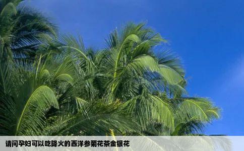 请问孕妇可以吃降火的西洋参菊花茶金银花