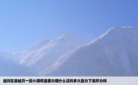 请问在县城开一间小酒吧需要办理什么证件多久能办下来好办吗