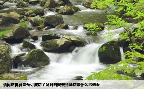 请问这样算是预订成功了吗到时候去到酒店拿什么给他看