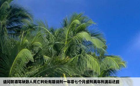 请问醉酒驾驶致人死亡判处有期徒刑一年零七个月缓刑两年刑满后还能