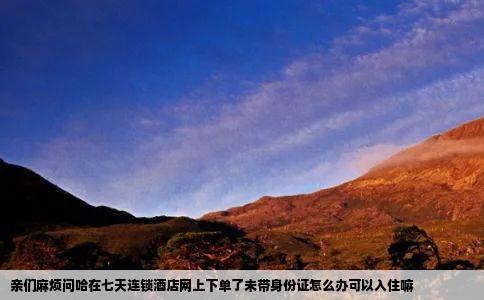 亲们麻烦问哈在七天连锁酒店网上下单了未带身份证怎么办可以入住嘛