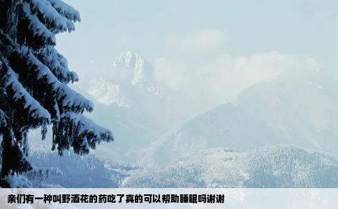 亲们有一种叫野酒花的药吃了真的可以帮助睡眠吗谢谢