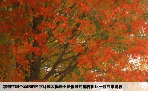 求帮忙想个酒吧的名字环境大概是不是很吵的那种相比一般的来说较