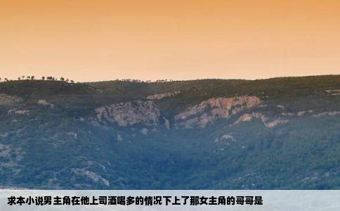 求本小说男主角在他上司酒喝多的情况下上了那女主角的哥哥是