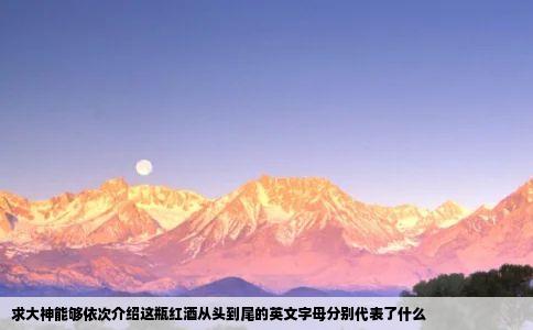 求大神能够依次介绍这瓶红酒从头到尾的英文字母分别代表了什么