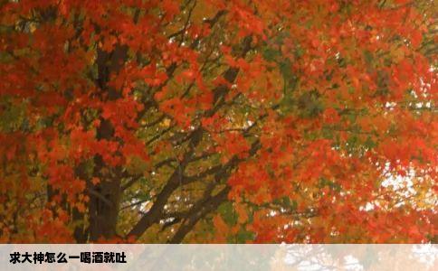 求大神怎么一喝酒就吐