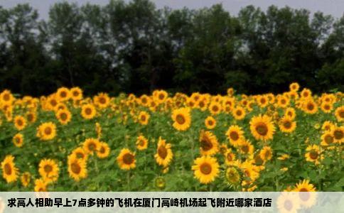 求高人相助早上7点多钟的飞机在厦门高崎机场起飞附近哪家酒店