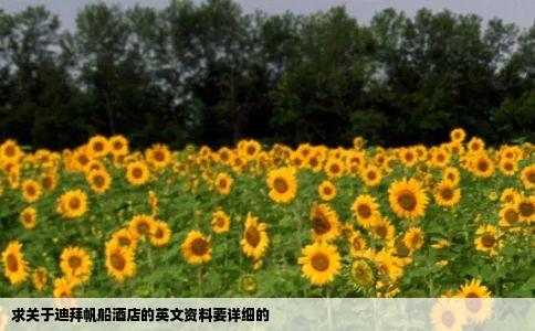 求关于迪拜帆船酒店的英文资料要详细的