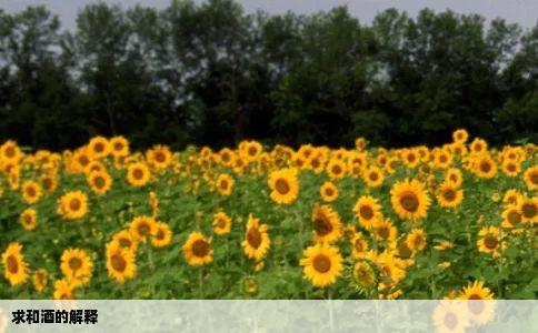 求和酒的解释