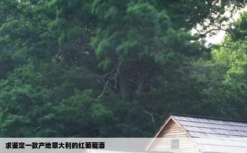 求鉴定一款产地意大利的红葡萄酒