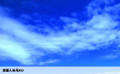 求鉴人头马XO