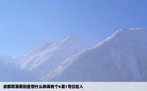 求解啊酒吞到底带什么御魂有个6星1号位轮入