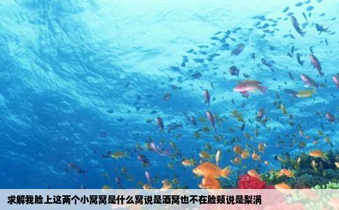 求解我脸上这两个小窝窝是什么窝说是酒窝也不在脸颊说是梨涡