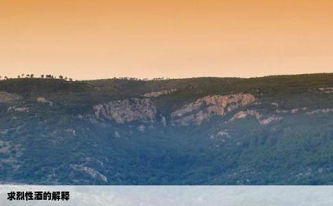 求烈性酒的解释