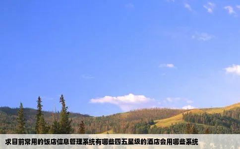 求目前常用的饭店信息管理系统有哪些四五星级的酒店会用哪些系统