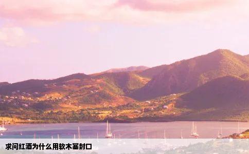 求问红酒为什么用软木塞封口