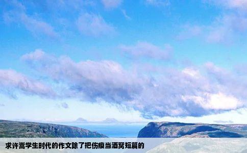 求许嵩学生时代的作文除了把伤痕当酒窝短篇的