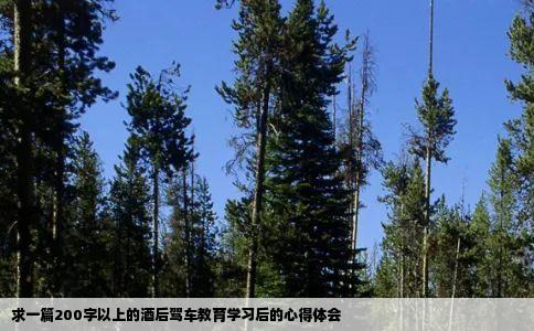 求一篇200字以上的酒后驾车教育学习后的心得体会