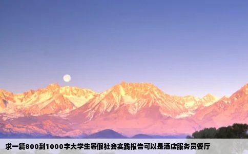 求一篇800到1000字大学生暑假社会实践报告可以是酒店服务员餐厅