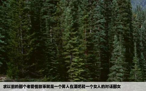 求以前的那个老爱情故事就是一个男人在酒吧和一个女人的对话那女