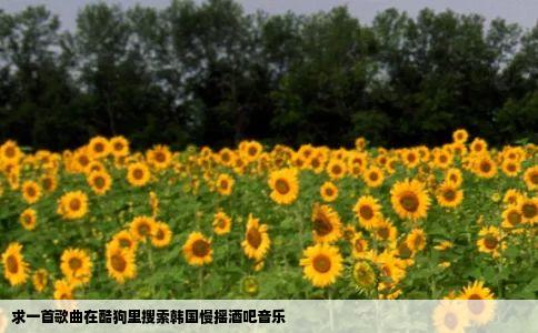 求一首歌曲在酷狗里搜索韩国慢摇酒吧音乐