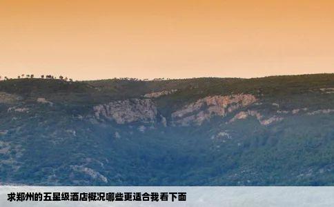 求郑州的五星级酒店概况哪些更适合我看下面