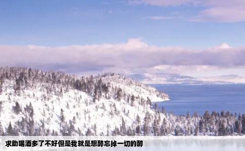 求助喝酒多了不好但是我就是想醉忘掉一切的醉